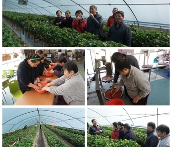 문화예술여행~*(딸기따기체험,3/29)